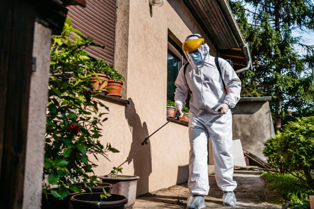 Wasp Removal Services in Wellington, FL